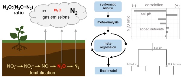 N2O-ratio-meta.jpg